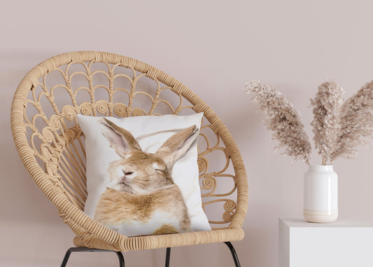 Taie d'oreiller - Lapin endormi