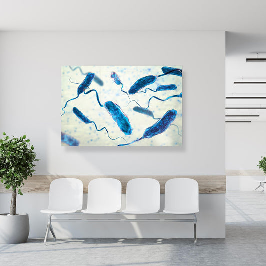 Medical Office Art - Vibrio cholerae bacteria - Einrichtungsbeispiel Foto
