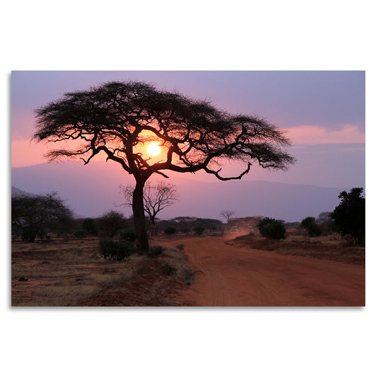 Acrylglasbild - Sunset