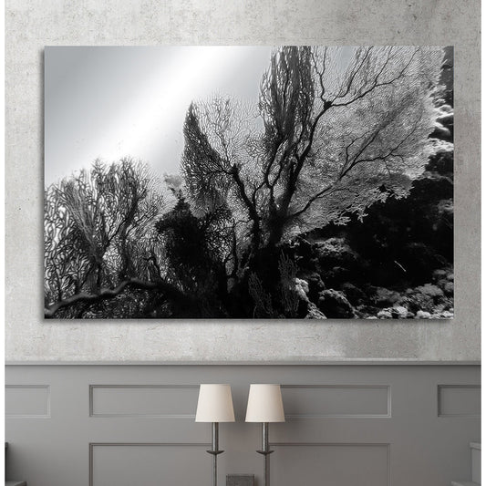 Aluminiumbild - Reef Wohnbeispiel