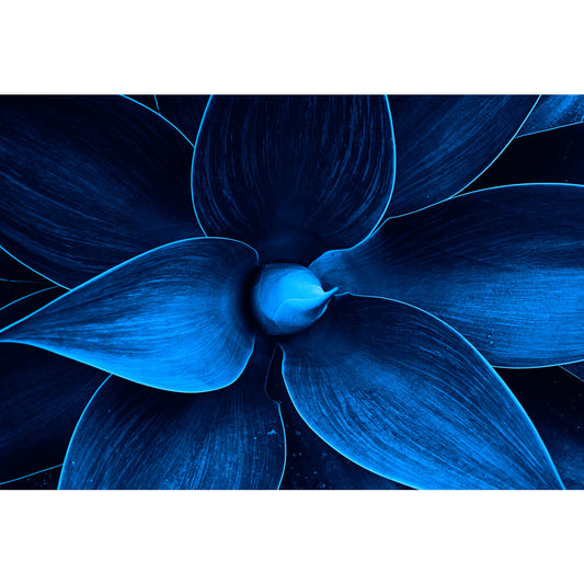 Acrylglasbild - Blue Plant