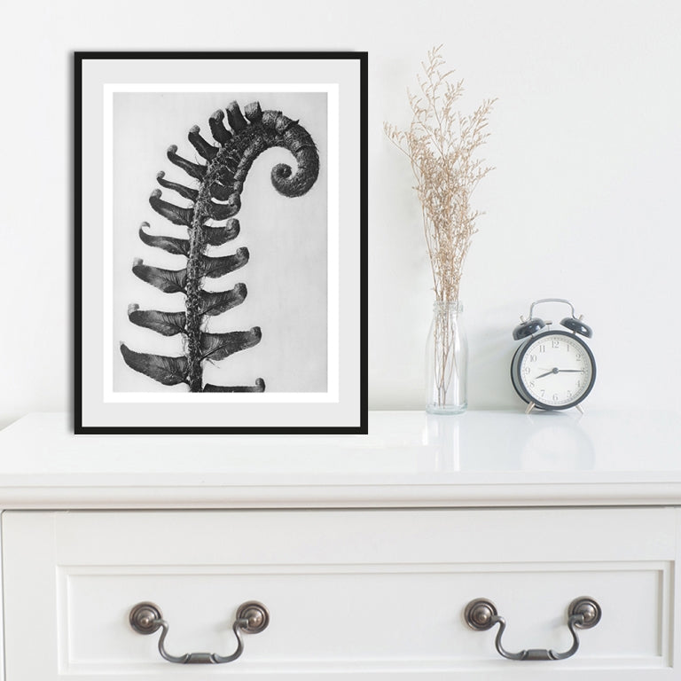 Rahmenbild - Feathers Wohnbeispiel