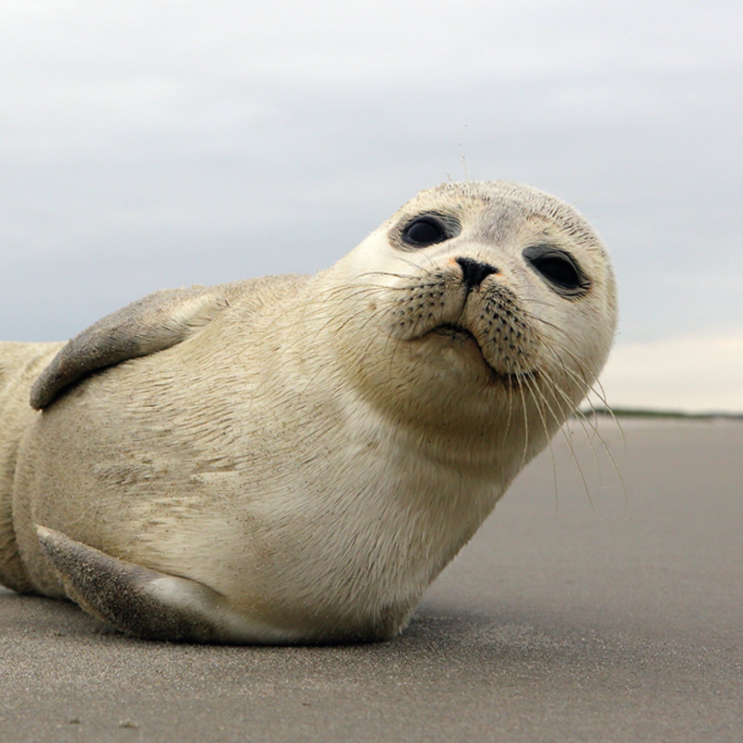 Steinuntersetzer-Set - Mattis Detail