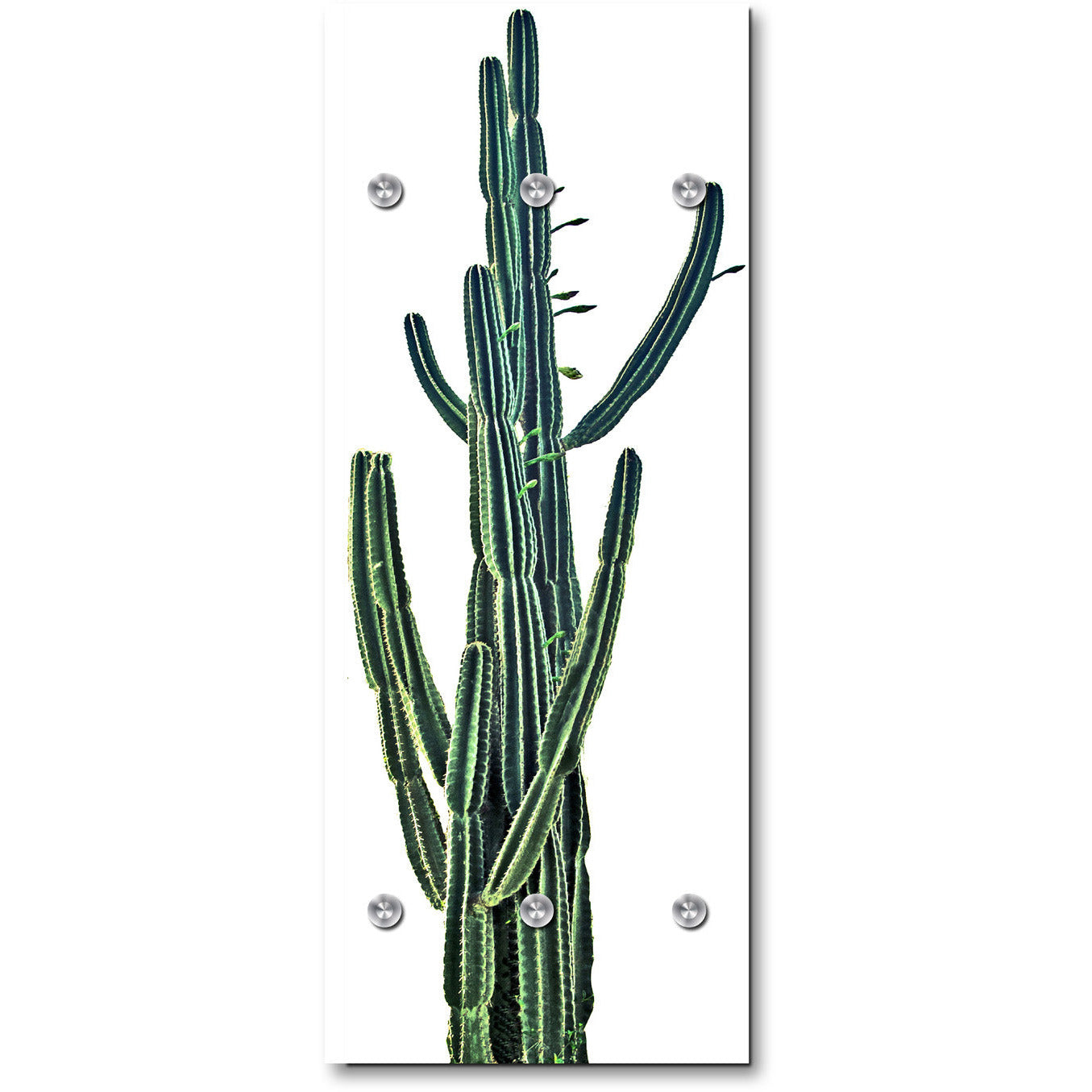 Acryl Wandgarderobe Holy Cactus
