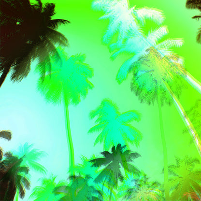 Acrylglasbild - Palms Grün