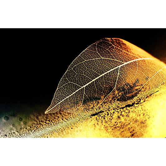 Blattgold Bild - Gold Leaf