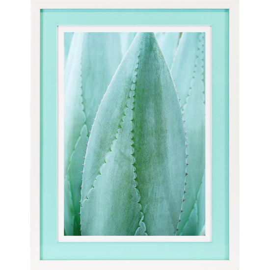 Queen Kerosin Rahmenbild mit Acrylpassepartout - Aloe Vera