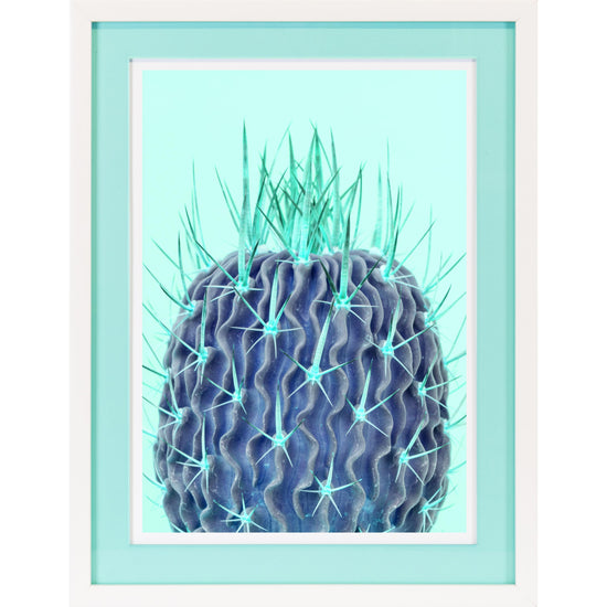 Queen Kerosin Rahmenbild mit Acrylpassepartout - Prickly Pear