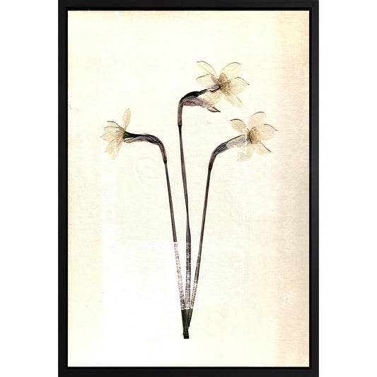 Canvas picture with shadow gap frame - Daffodils