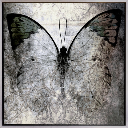 Image sur toile avec cadre à fentes d'ombre - Papilio