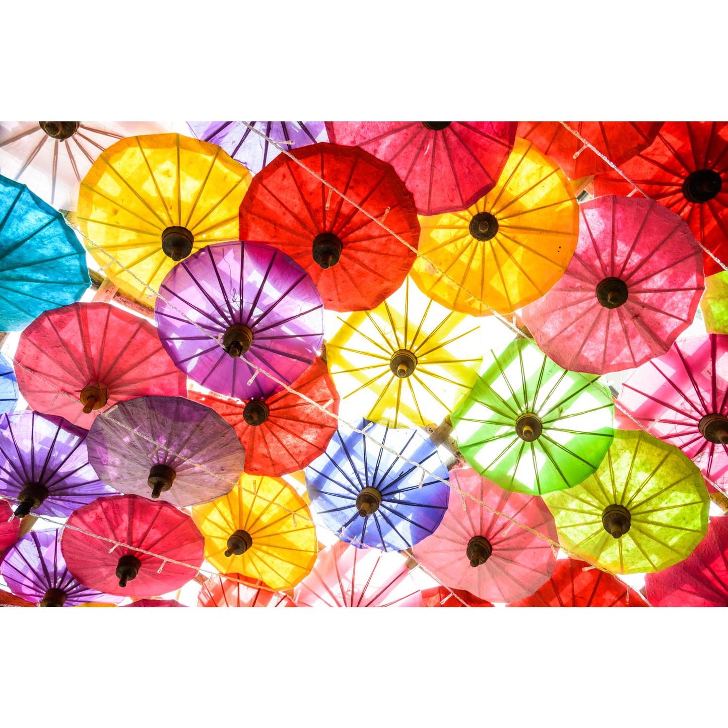 Leinwandbild - Colorful Sunshine