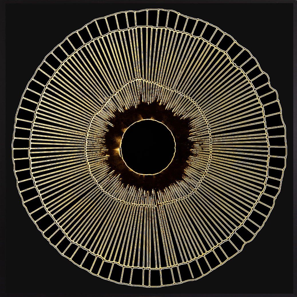 Leinwandbild mit Schattenfugenrahmen - Golden Circle