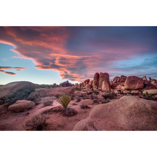 Queen Kerosin Acrylglasbild - JOSHUA TREE 2