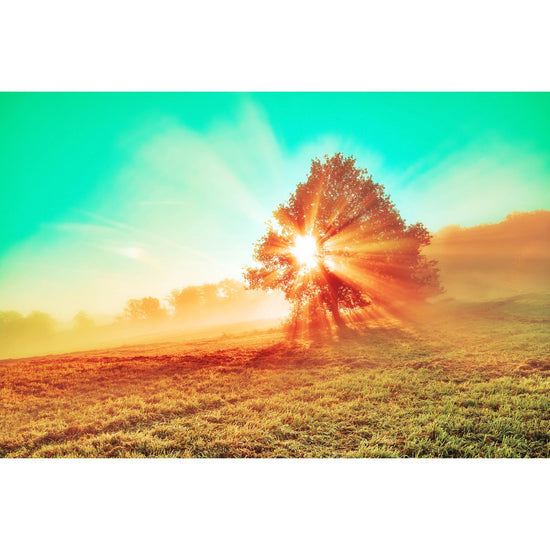 Queen Kerosin Acrylglasbild - Das Leben ist schön