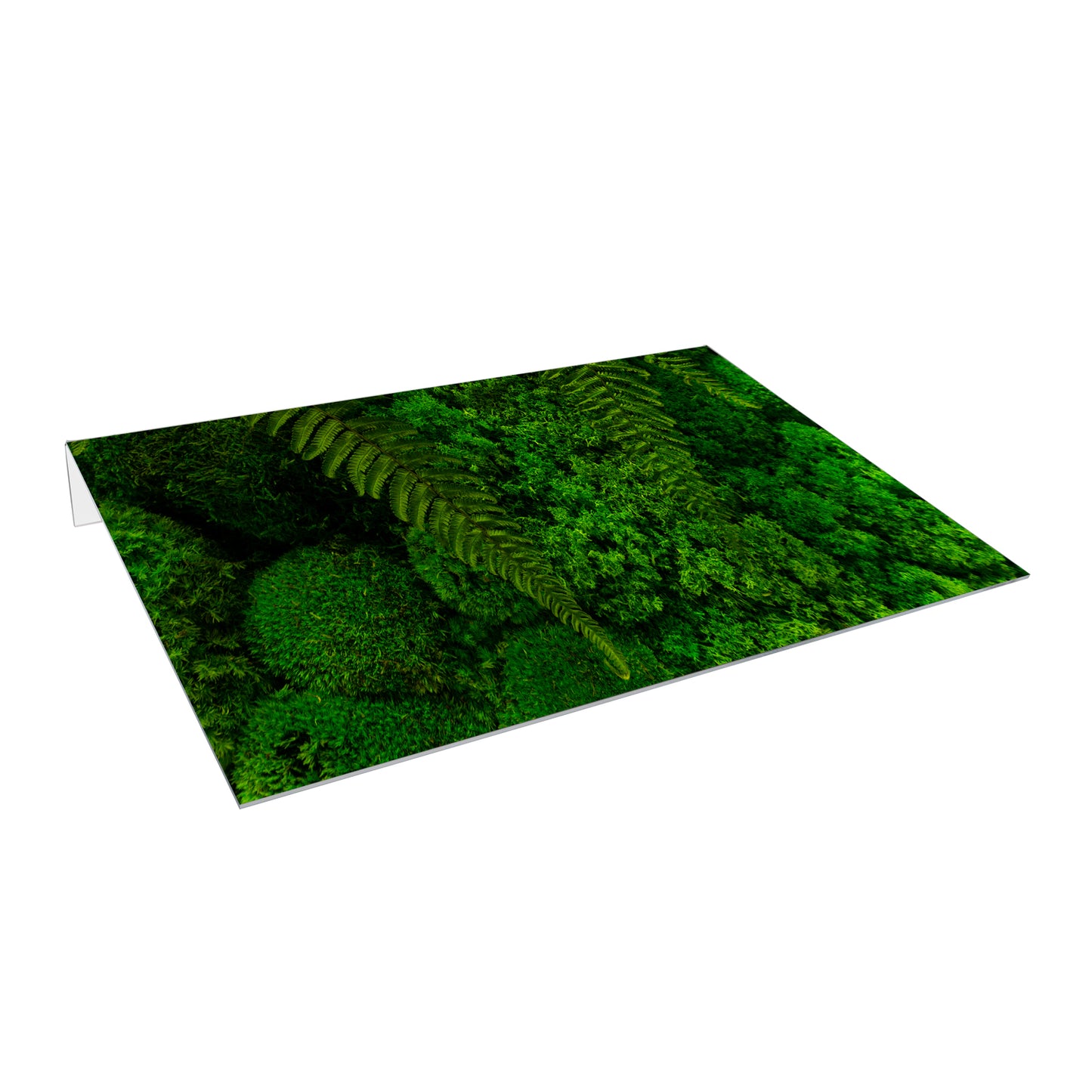 Lichtschachtabdeckung – Grüne Pflanzen