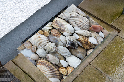 Lichtschachtabdeckung – Muscheln