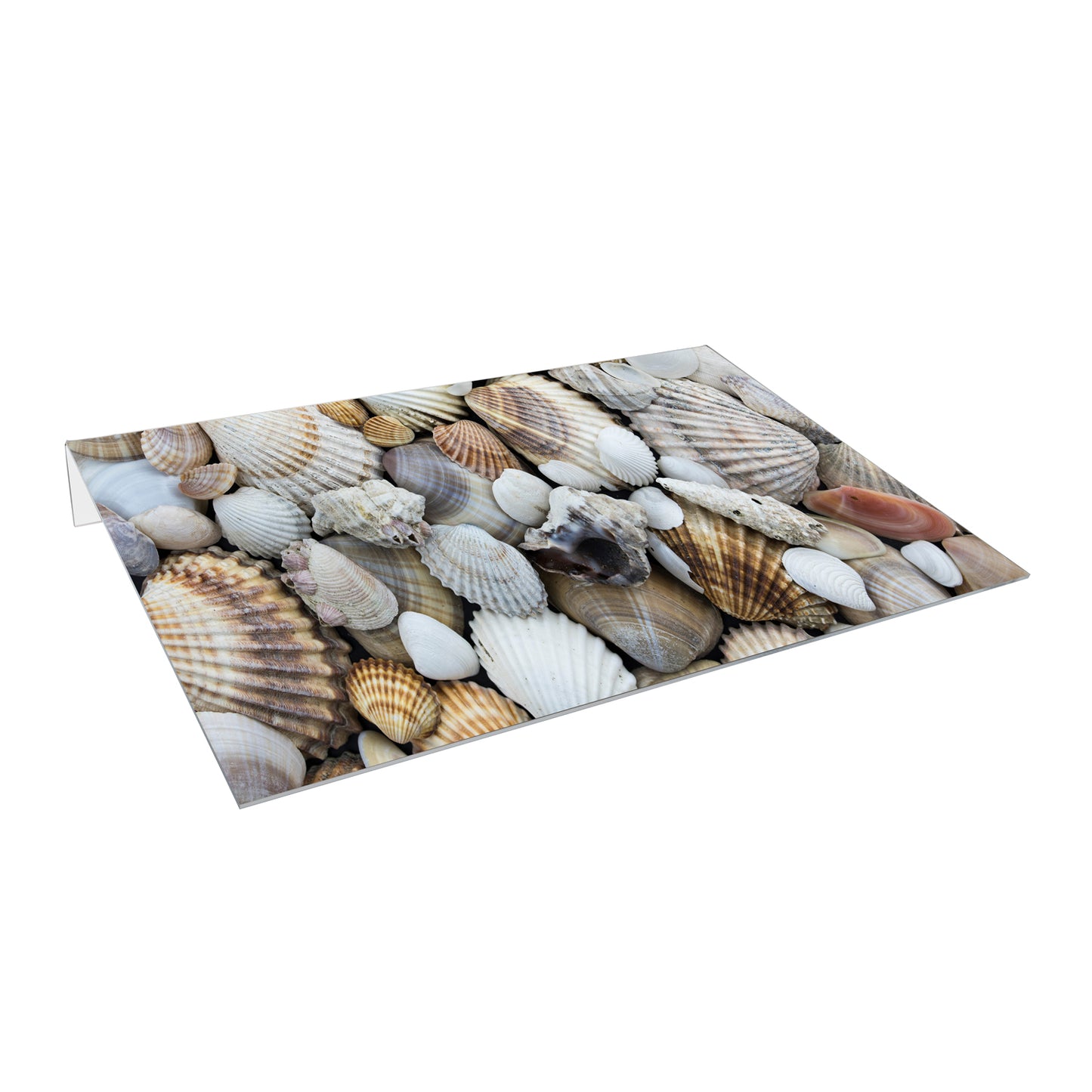 Lichtschachtabdeckung – Muscheln