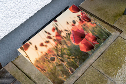 Lichtschachtabdeckung – Blumenwiese