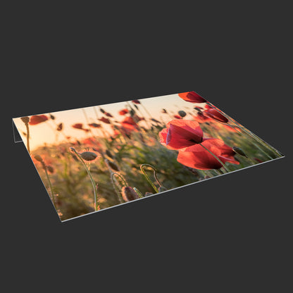 Lichtschachtabdeckung – Blumenwiese