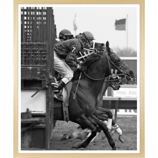 Rahmenbild - Pferderennen Schwarz Weiß