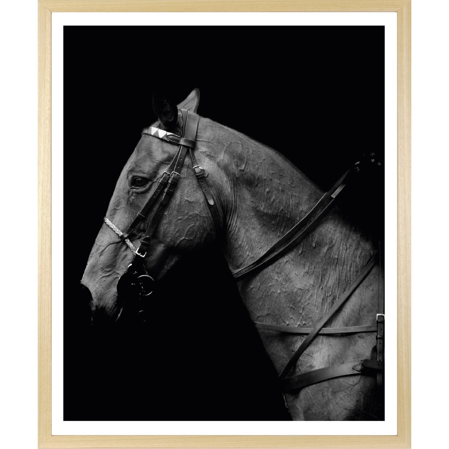Rahmenbild - Pferdeportrait Schwarz Weiß