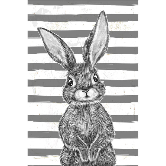 Queen Kerosin Blechschild - Black Rabbit with stripes