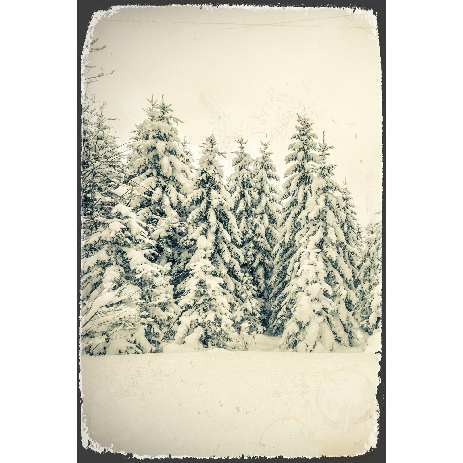 Blechschild - Snow Forest
