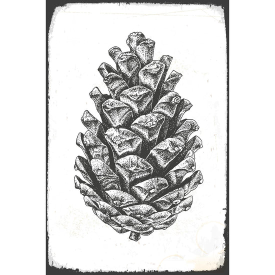 Queen Kerosin Blechschild - Pinecone