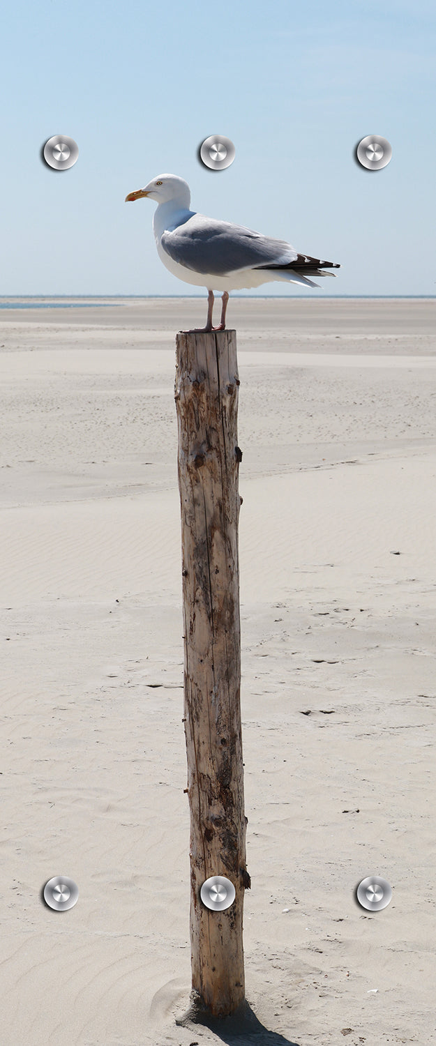 Garderobe - Möwe auf Stamm