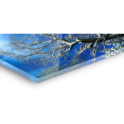 snowy mountain Acrylglas Detail