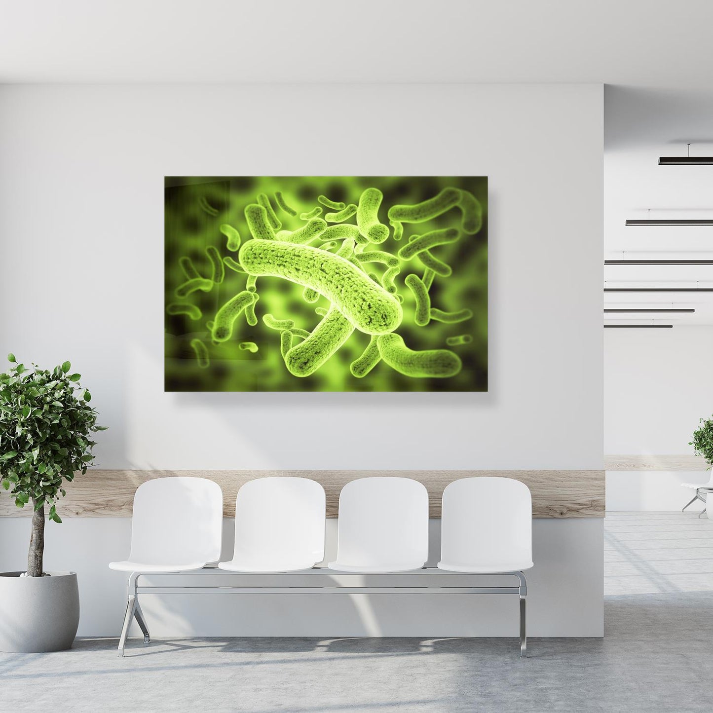 Medical Office Art - Bacteria cells - Einrichtungsbeispiel Foto