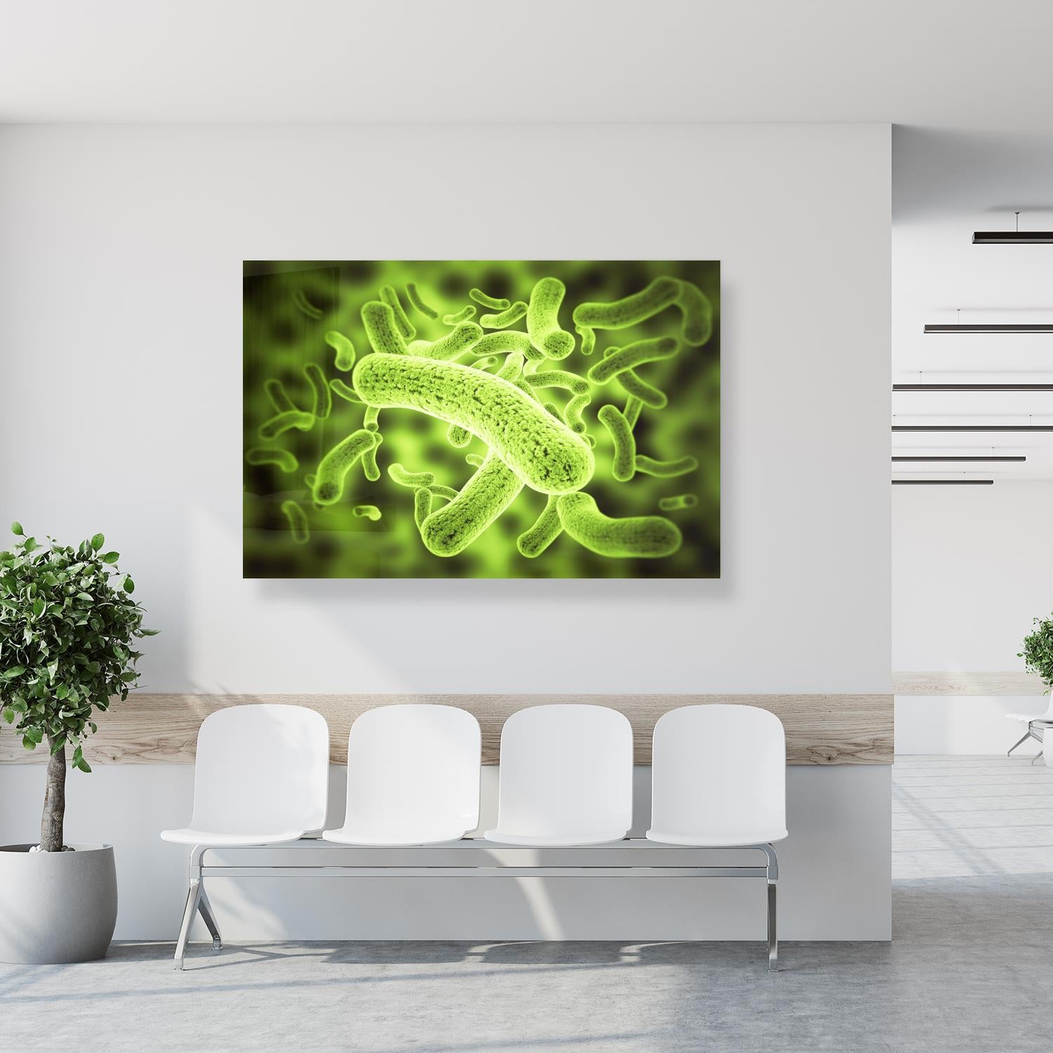 Medical Office Art - Bacteria cells - Einrichtungsbeispiel Foto
