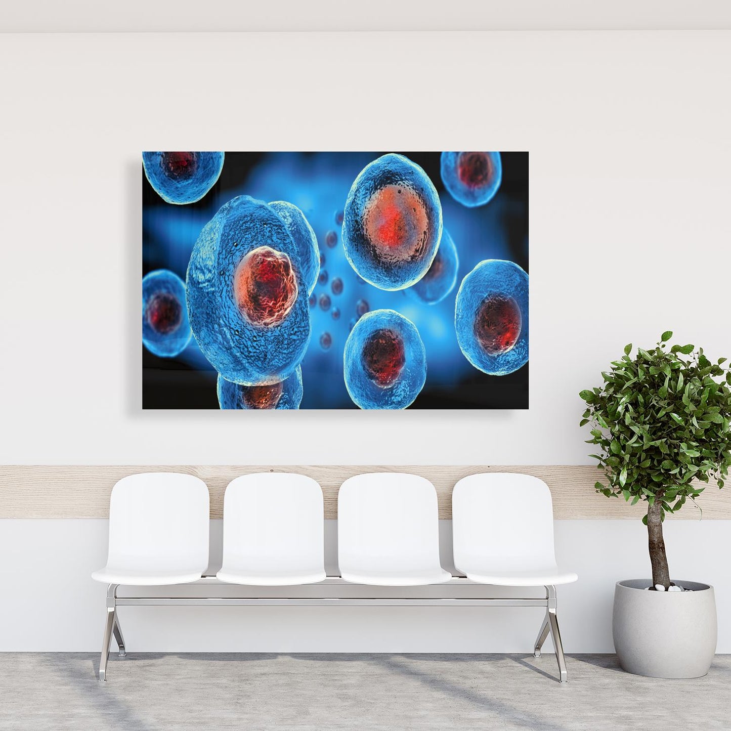 Medical Office Art - Embryonic stem cells - Einrichtungsbeispiel Foto