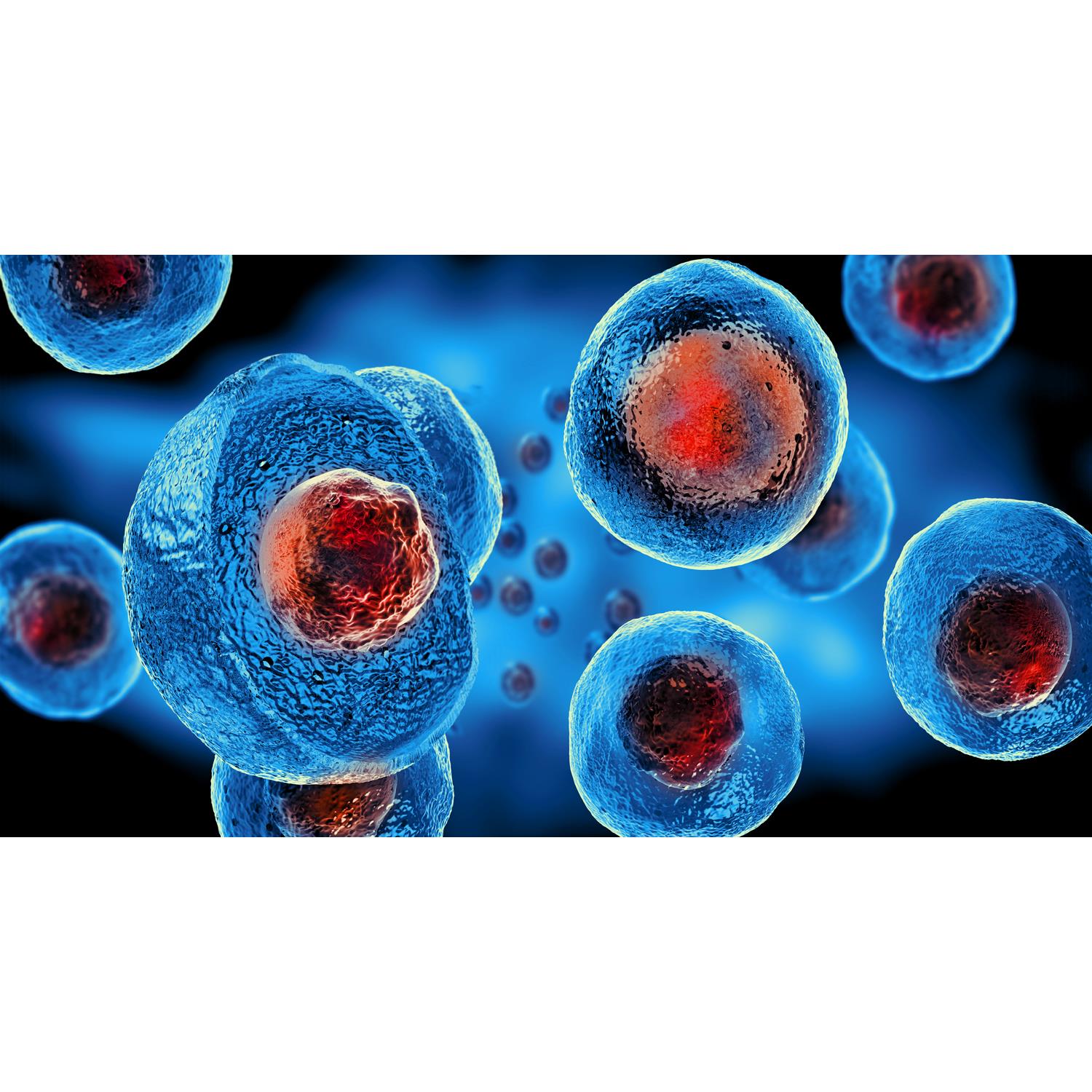 Medical Office Art - Embryonic stem cells