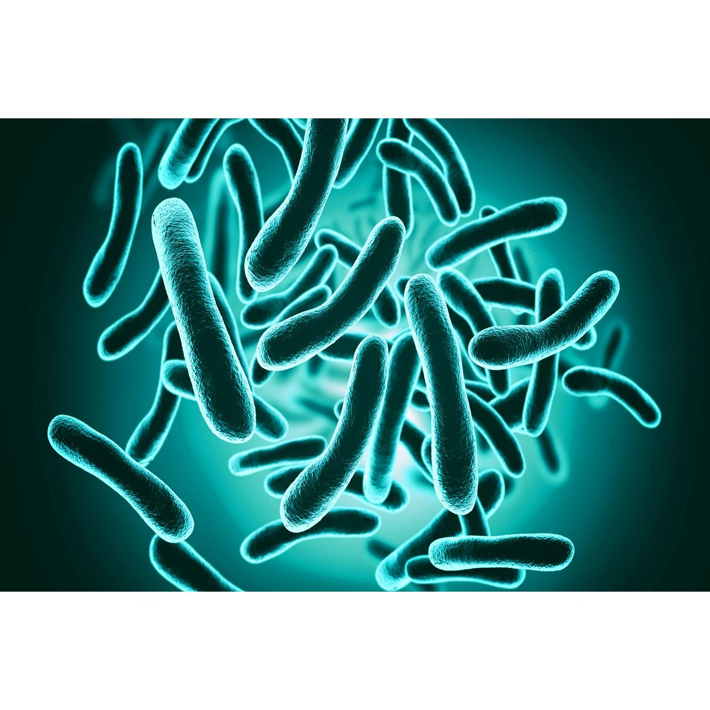 Medical Office Art - Bacteria closeup