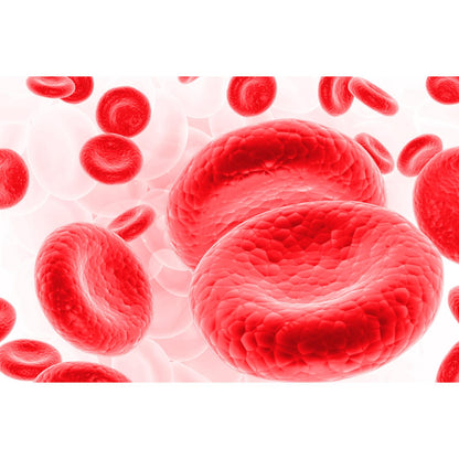 Medical Office Art - Red blood cells