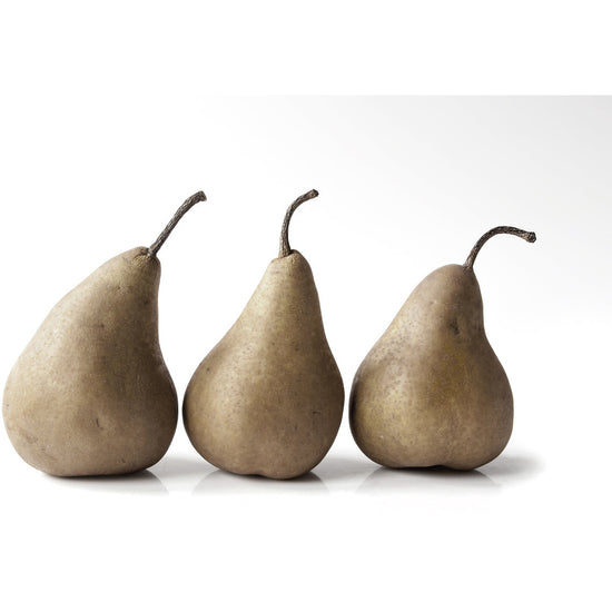 Queen Kerosin Magnetisches Markerboard - Pear