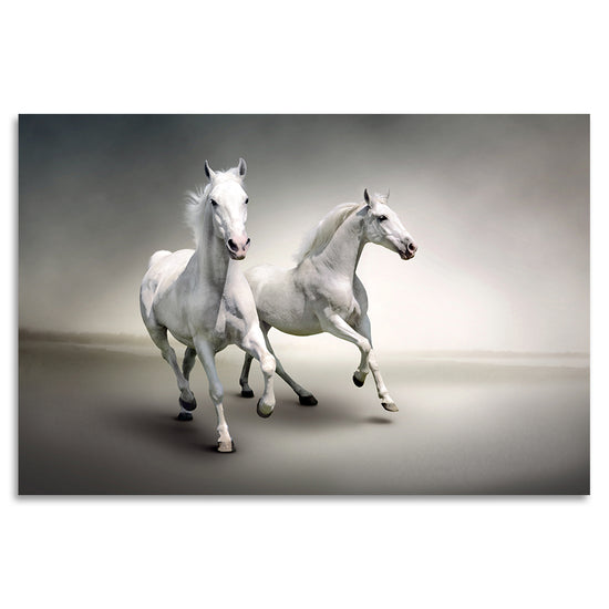 Queen Kerosin Acrylglasbild - White Mares