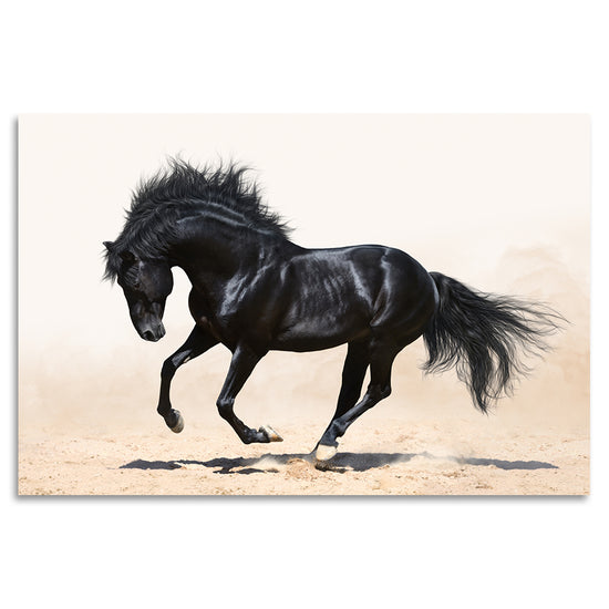 Queen Kerosin Acrylglasbild - Black Stallion