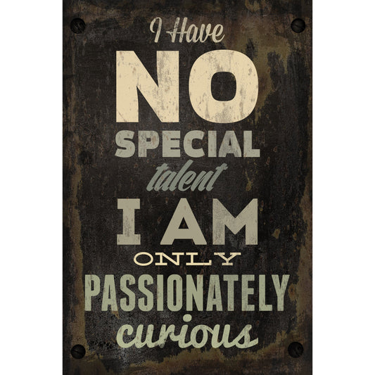Blechschild - I have no special talent i am only passionately curious