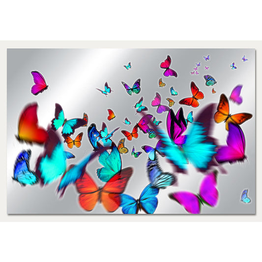 Aluminiumbild - Colorful Butterflies