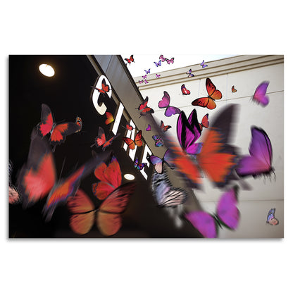 Acrylglasbild - Butterflies Deluxe