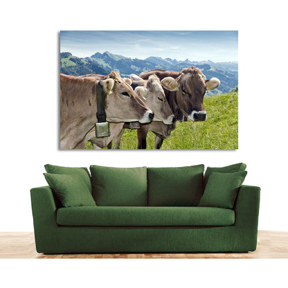Acrylglasbild - Alpenwelt Kühe Wohnbeispiel