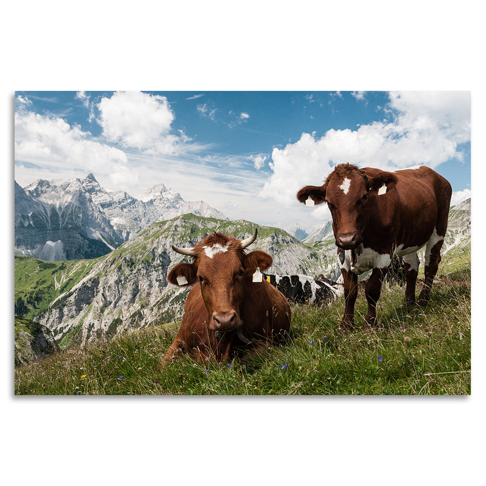 Acrylglasbild - Wunderparadies Karwendel