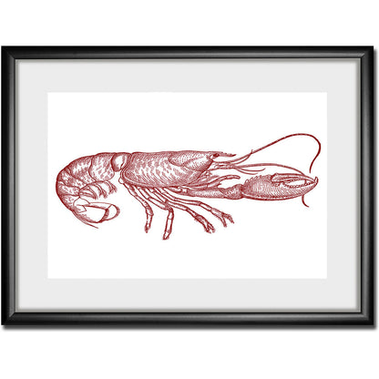 Rahmenbild - Pop Lobster