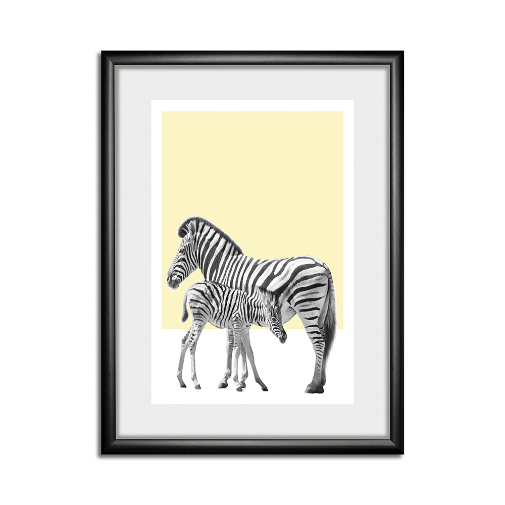 Rahmenbild - Zebras