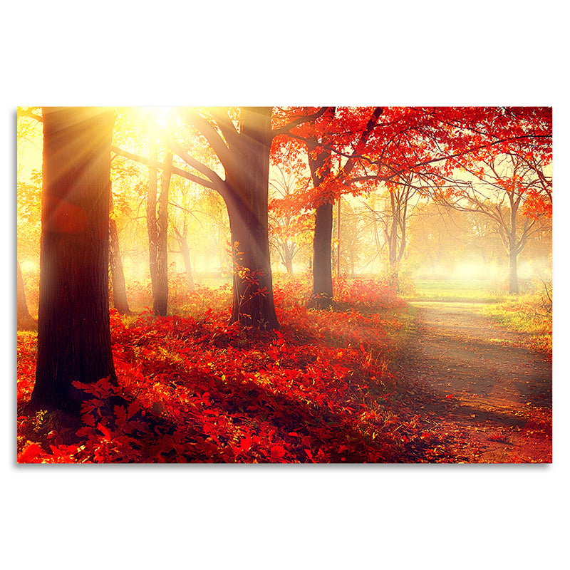 Acrylglasbild - Shiny Autumn