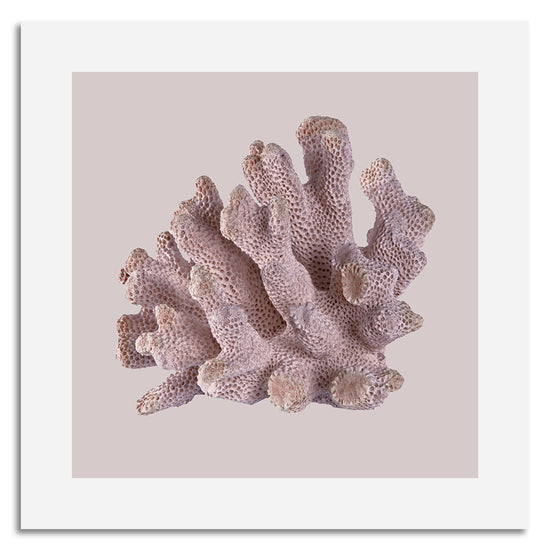 Queen Kerosin Leinwandbild - Coral Abstract