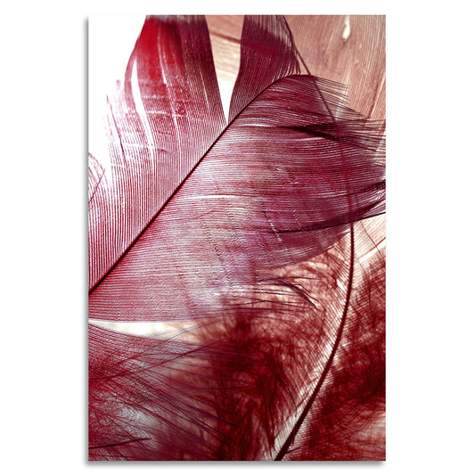 Acrylglasbild - Red Feather