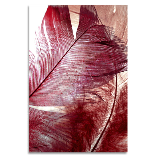 Queen Kerosin Acrylglasbild - Red Feather